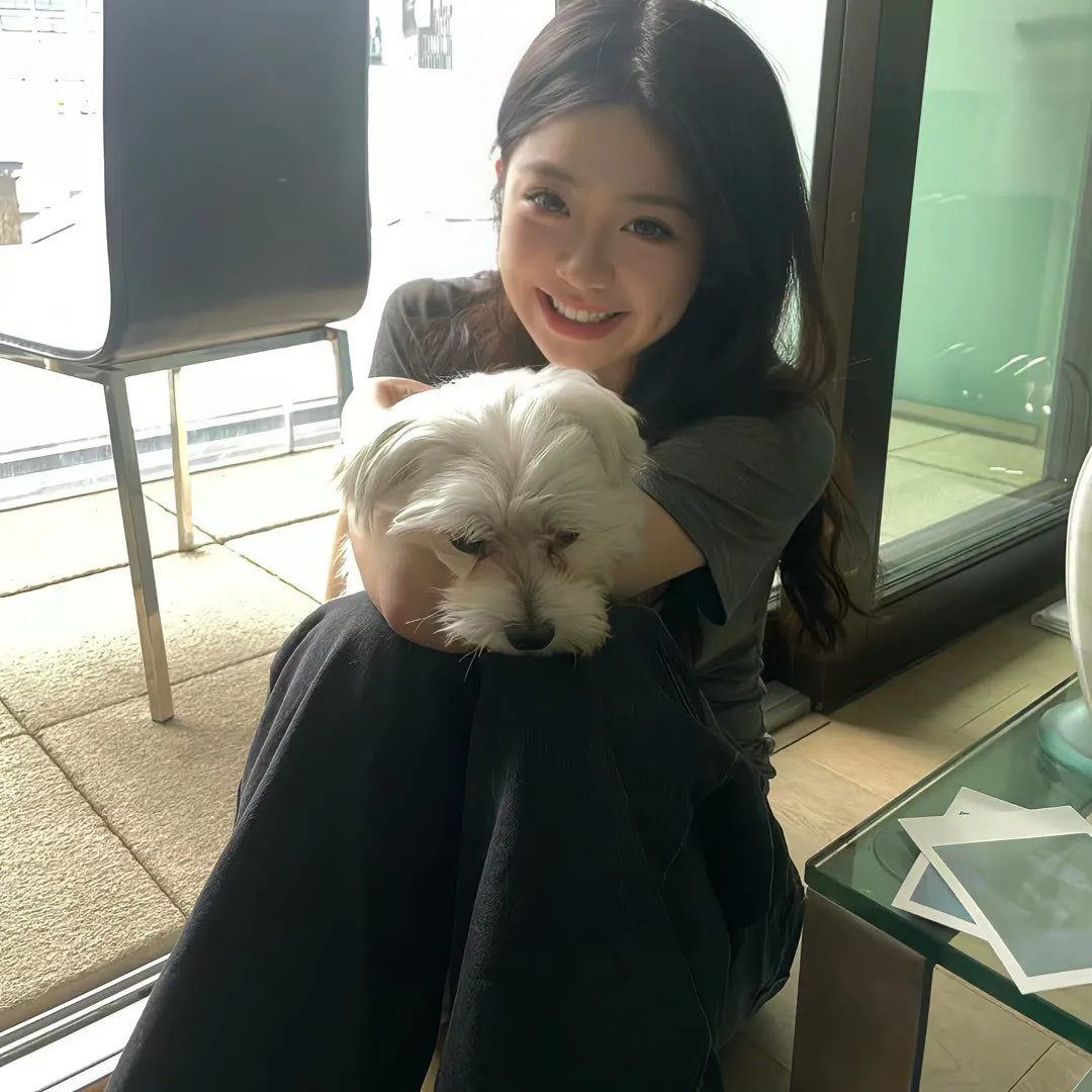 代号火箭炮 在线观看